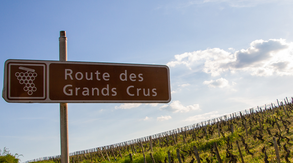 Route des Grands Crus sign with clear blue sky and rolling hills in the background
